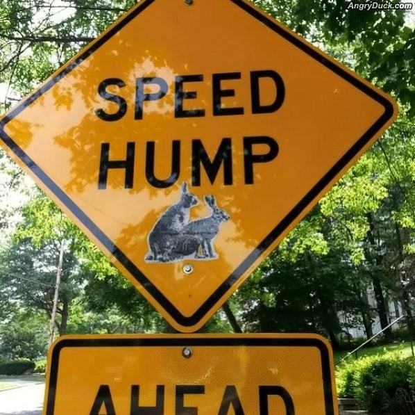 Obrázek Speed Hump Ahead