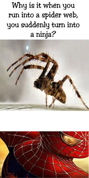 Obrázek Spider Logic 01-03-2012