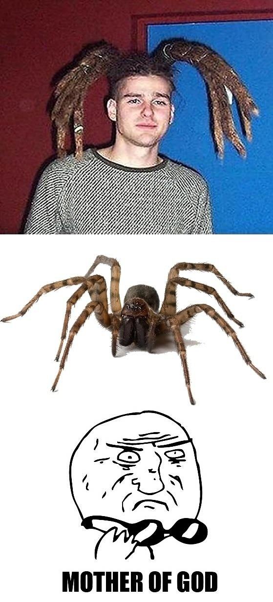 Obrázek Spiderhair