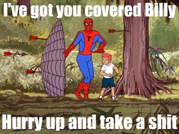 Obrázek Spidey saves the day 24-12-2011