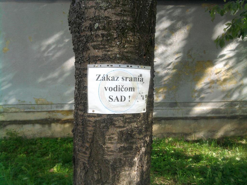 Obrázek Sraci z SAD