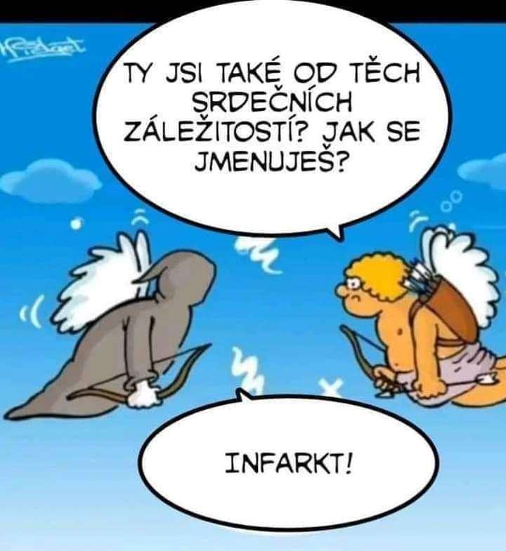 Obrázek SrdecniZalezitost
