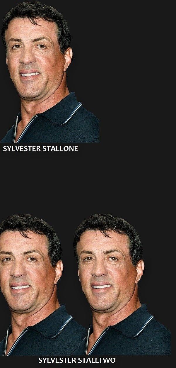 Obrázek Stallone 14-02-2012