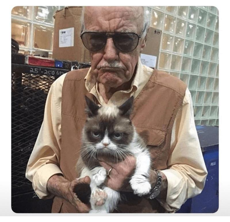 Obrázek Stan grumpy Lee