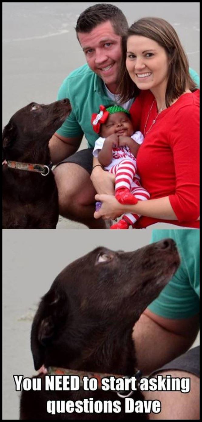 Obrázek Start Asking Questions Dave