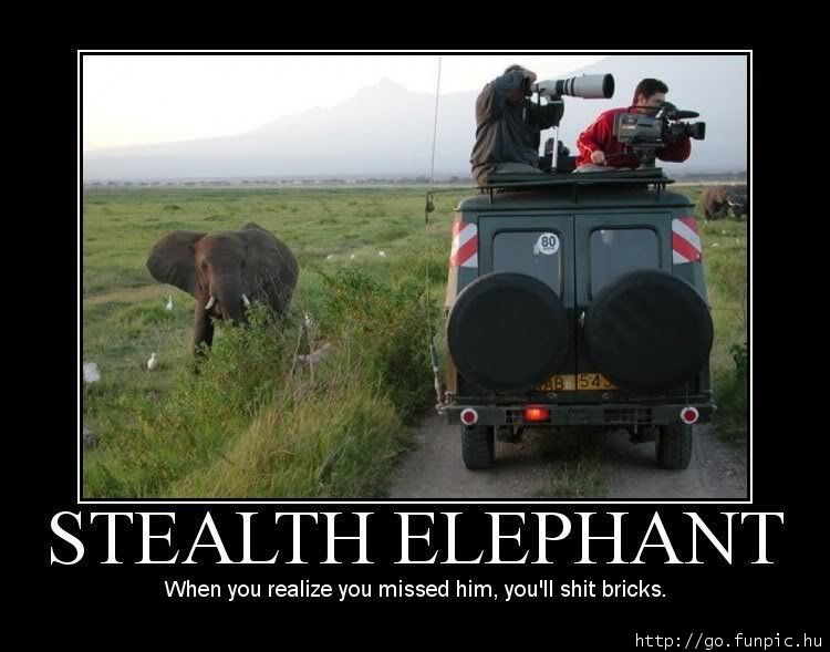 Obrázek Stealth elephant