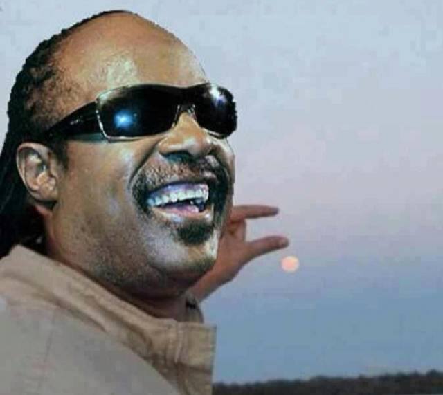 Obrázek Steve Wonder