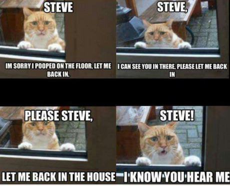 Obrázek Steve is a dick