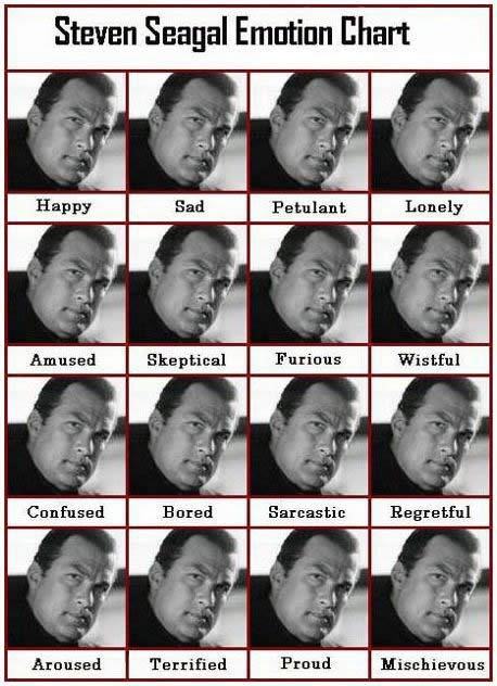 Obrázek Steven Seagal Emotion Chart
