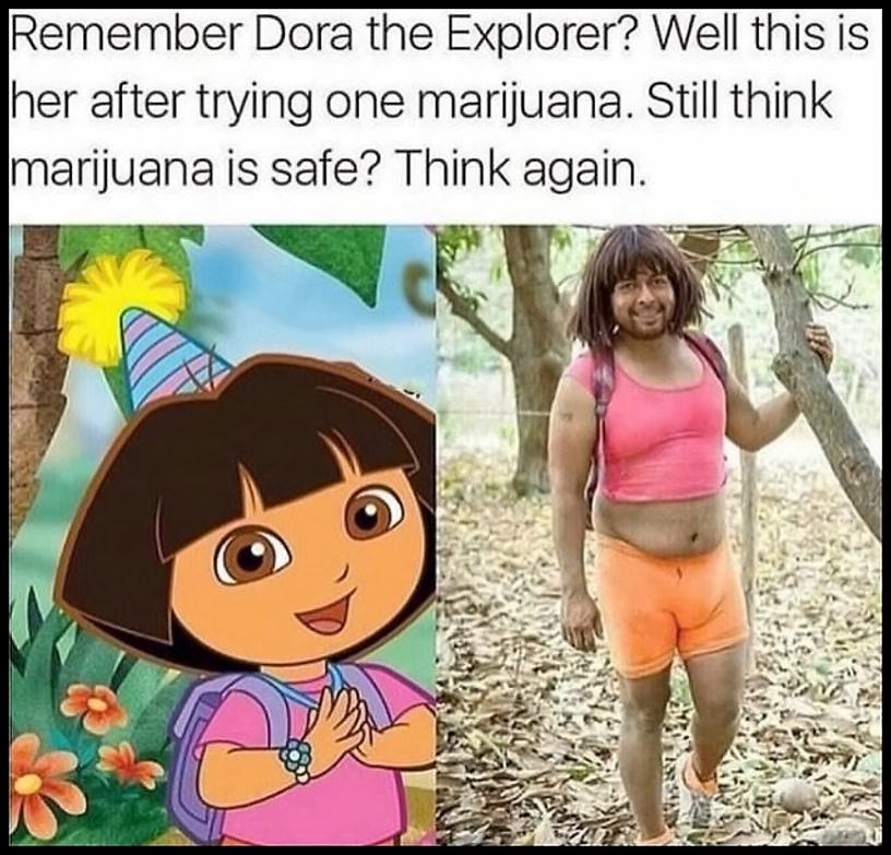 Obrázek StillThinkThisIsSafe