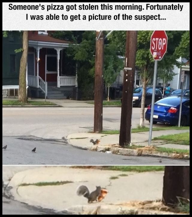 Obrázek Stolen Pizza