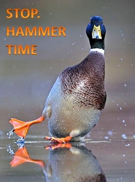 Obrázek Stop - Hammer time