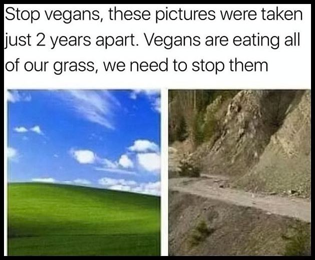 Obrázek Stop VeganS
