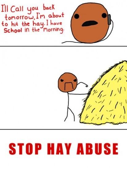 Obrázek Stop hay abuse