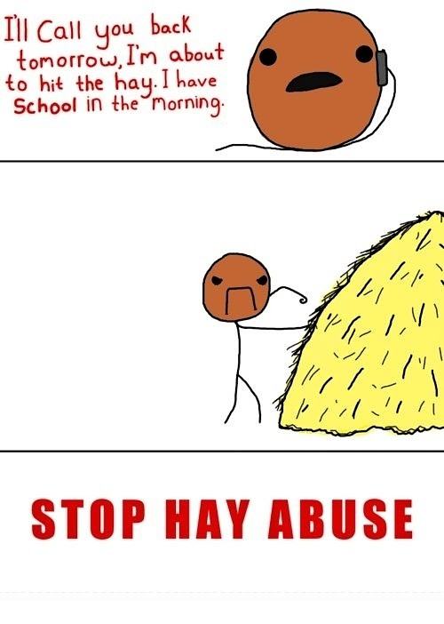 Obrázek Stop hay abuse 19-01-2012