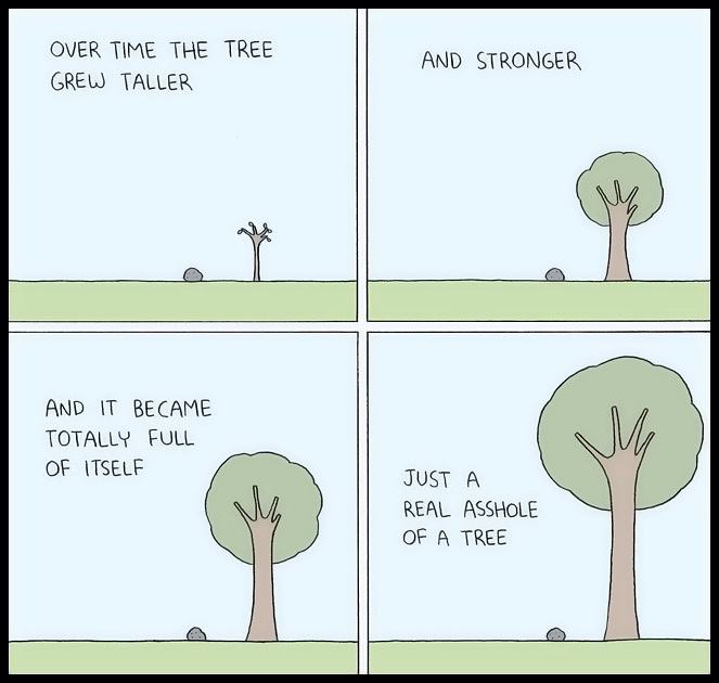 Obrázek Story of a treee