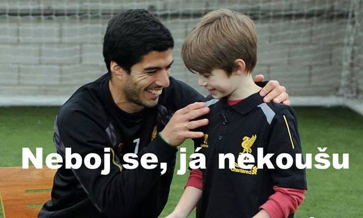 Obrázek Suarez