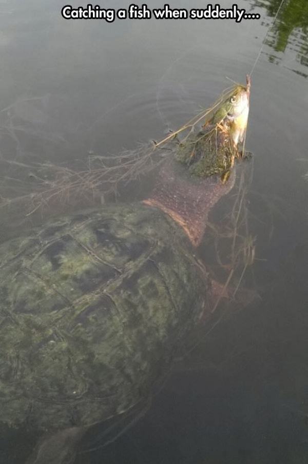 Obrázek Suddenly3312