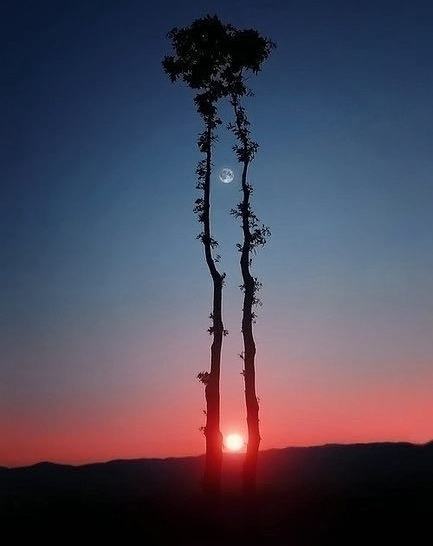 Obrázek Sunset-image-perfect-timing
