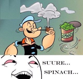 Obrázek Sure-Spinach