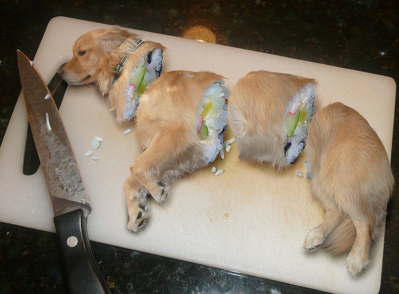 Obrázek Sushi Dog