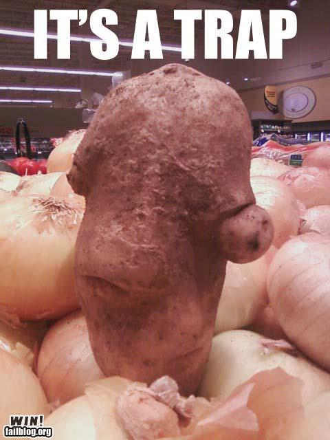 Obrázek Suspicious potato