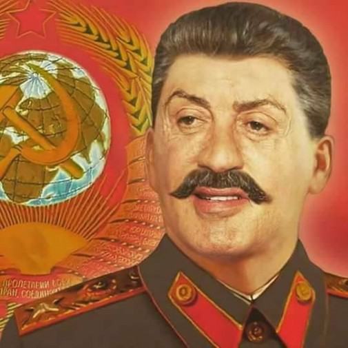Obrázek Sylvester Stalinne