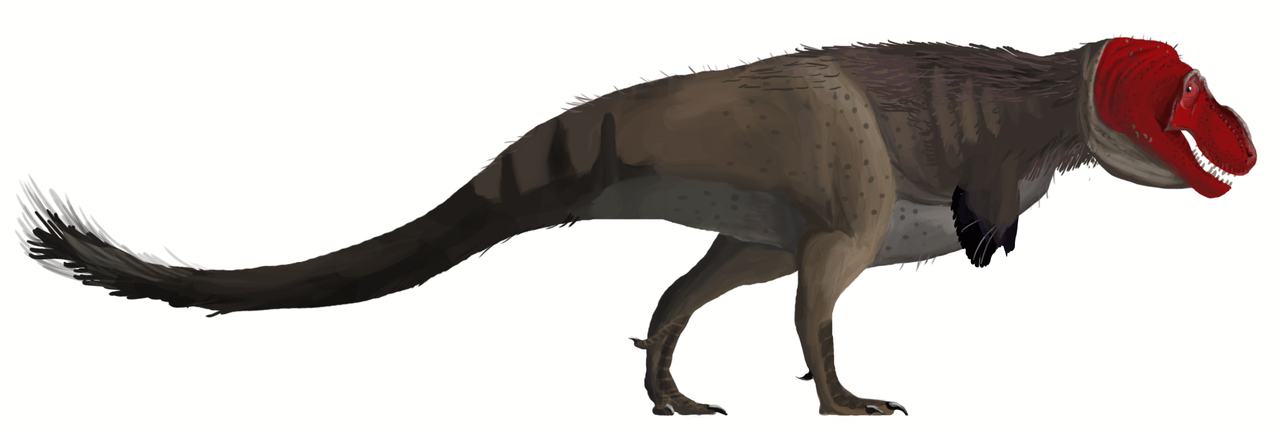 Obrázek T-Rex podle poslednich poznatku by Matt Martyniuk-Wikipedia-org