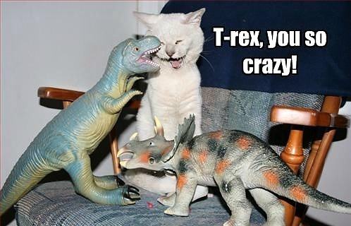 Obrázek T-rex you crazy