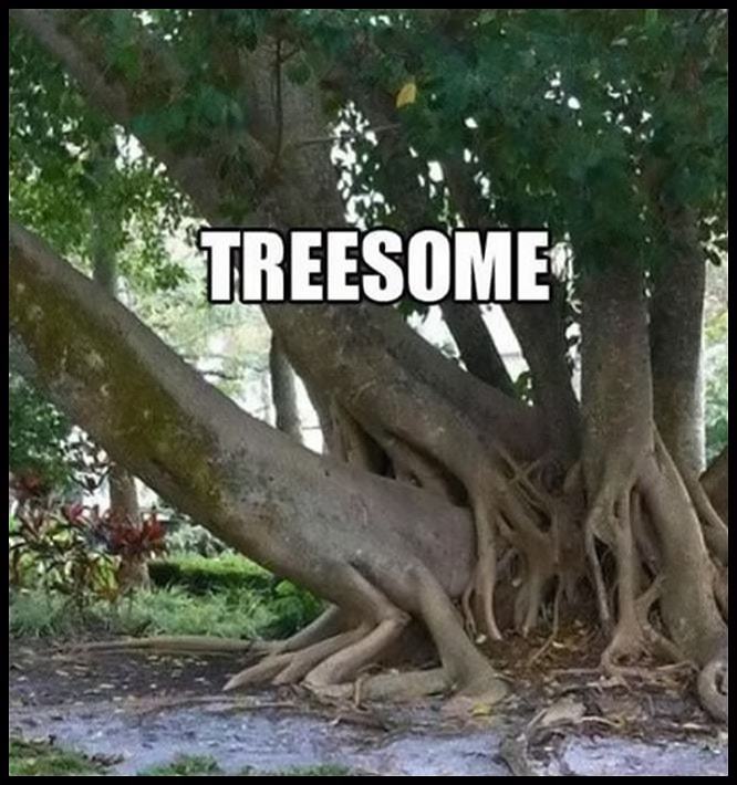 Obrázek TREEsome