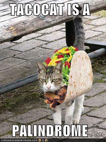 Obrázek TacoCat