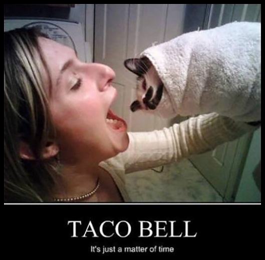 Obrázek Taco Bell7104