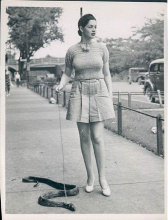 Obrázek Taking The Pet Snake For A Walk