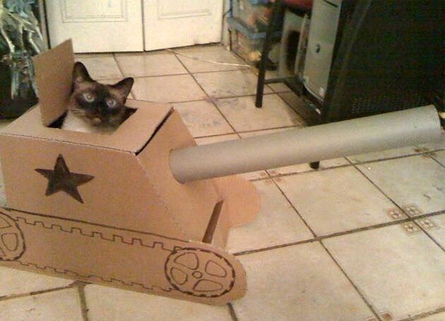 Obrázek Tank cat