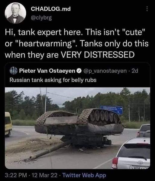 Obrázek Tank needs some loving