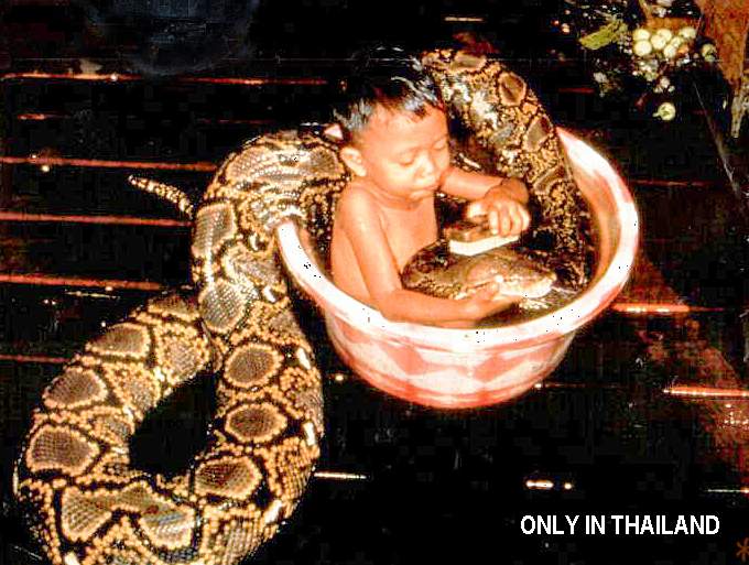 Obrázek Thailand