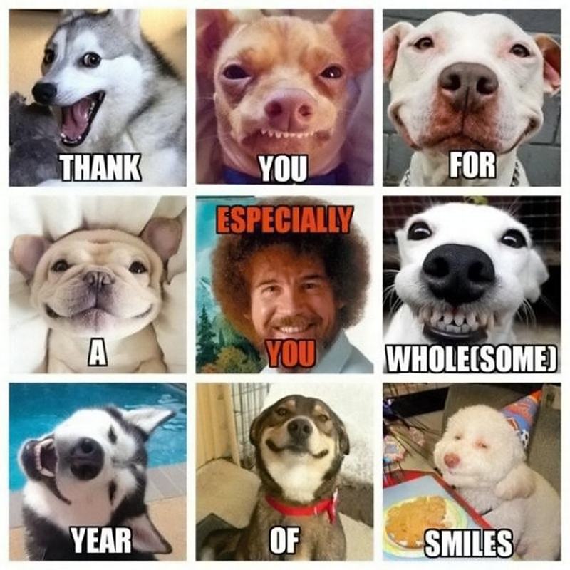 Obrázek ThankYouFor    