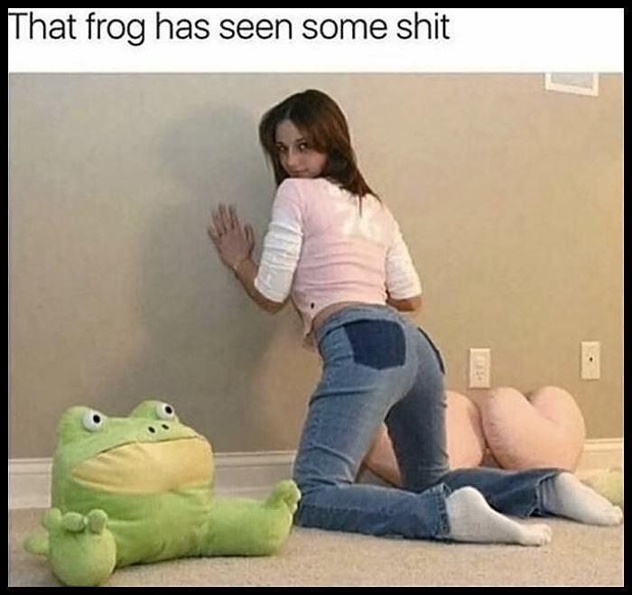 Obrázek That Frog Has Seen It ALL