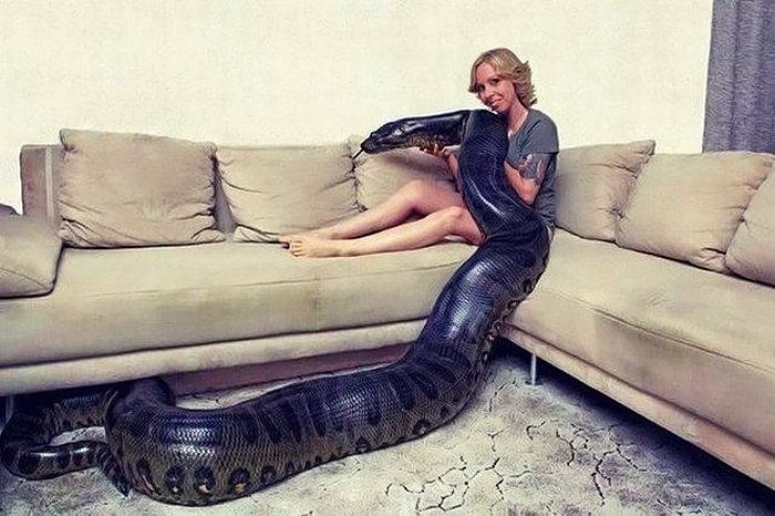 Obrázek That Is A BIG Snake