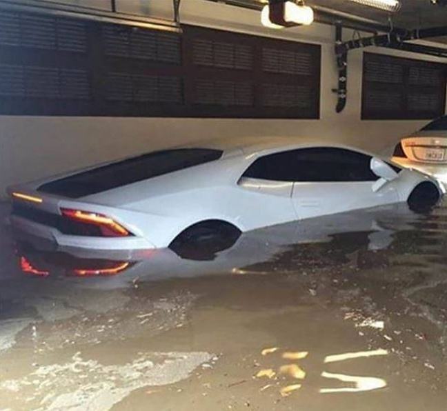 Obrázek That Sucks7021