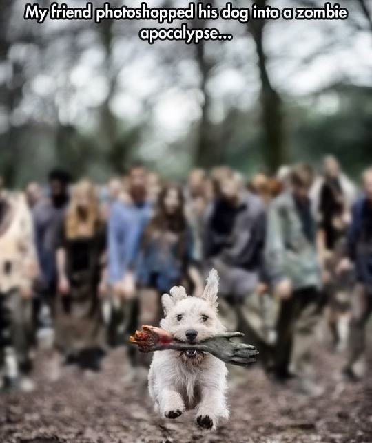Obrázek The-Barking-Dead