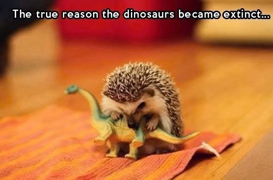 Obrázek The-reason-the-dinosaurs-became-extinct E2 80 A6