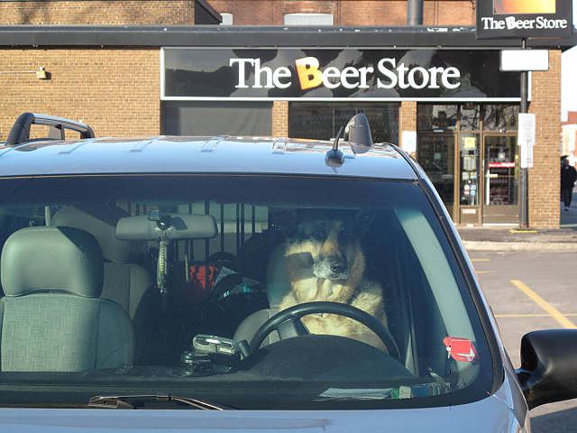 Obrázek TheBeerStore