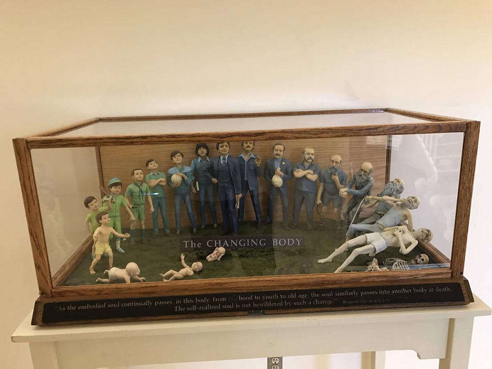 Obrázek TheChangingBody&nbsp;