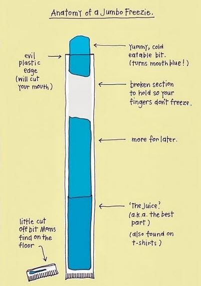 Obrázek The Anatomy Of A Jumbo Freezie