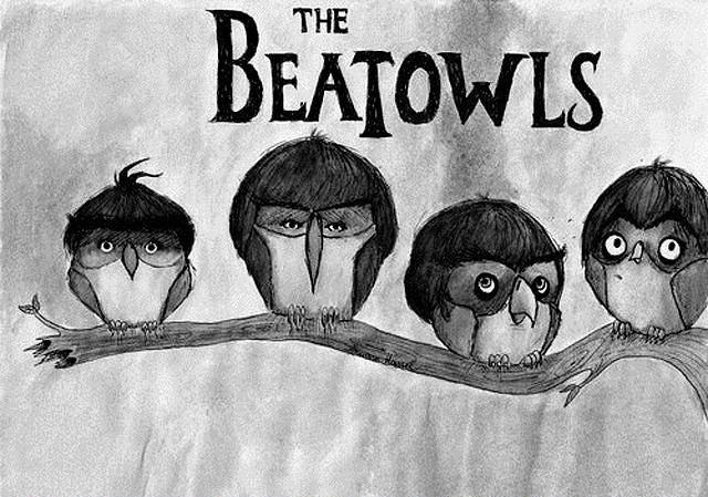 Obrázek The Beatowls 06-01-2012