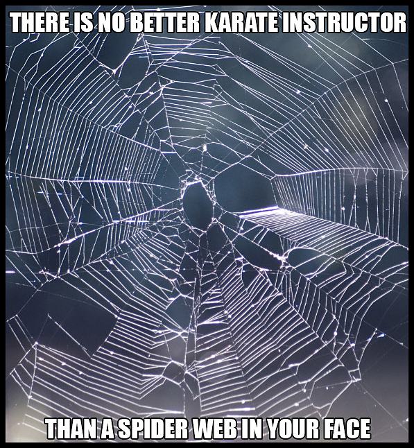 Obrázek The Best Karate Instructor    