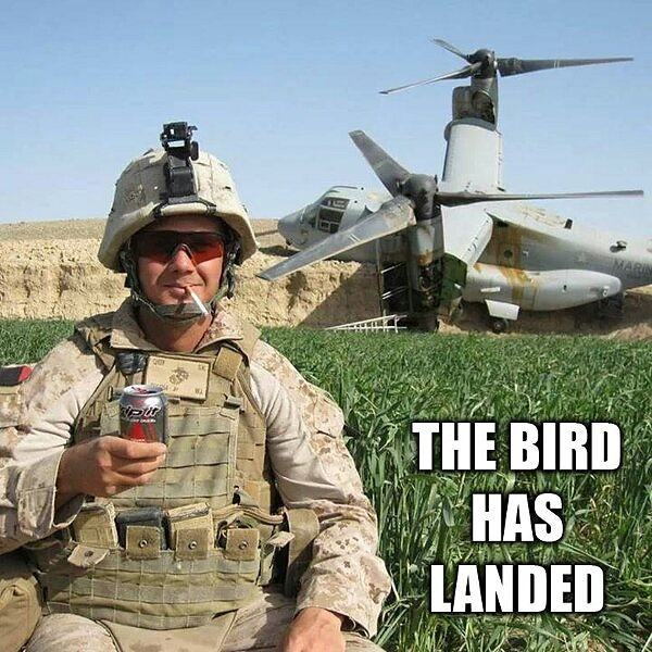 Obrázek The Bird Has Landed
