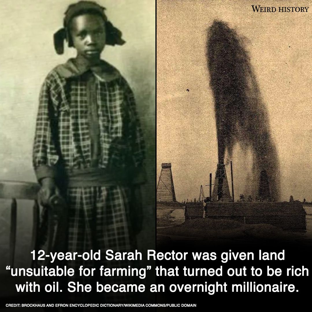 Obrázek The Black Girl So Wealthy She Was Legally Declared White
