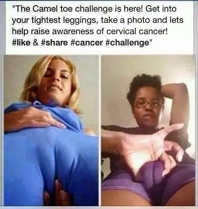Obrázek The Camel Toe Challenge